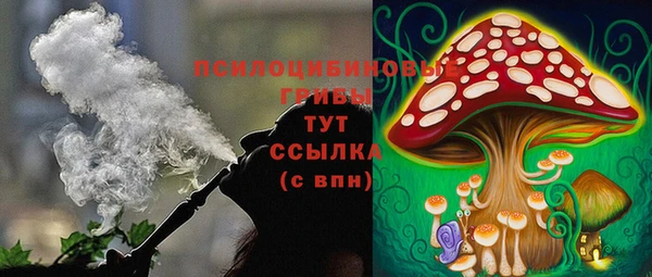 первитин Вяземский