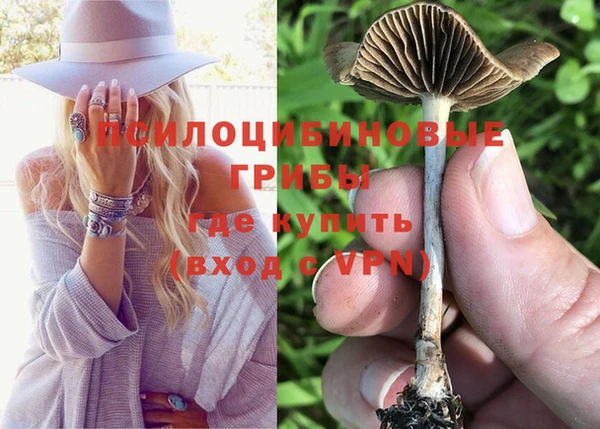 первитин Вяземский