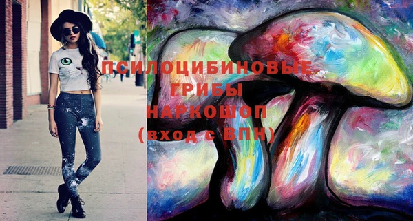 первитин Вяземский