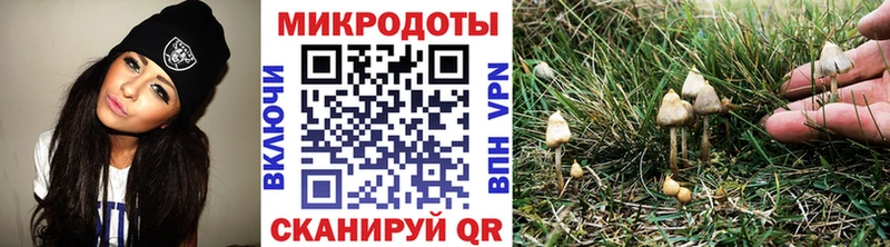 гидра зеркало  Звенигово  Псилоцибиновые грибы Psilocybine cubensis  где найти наркотики 